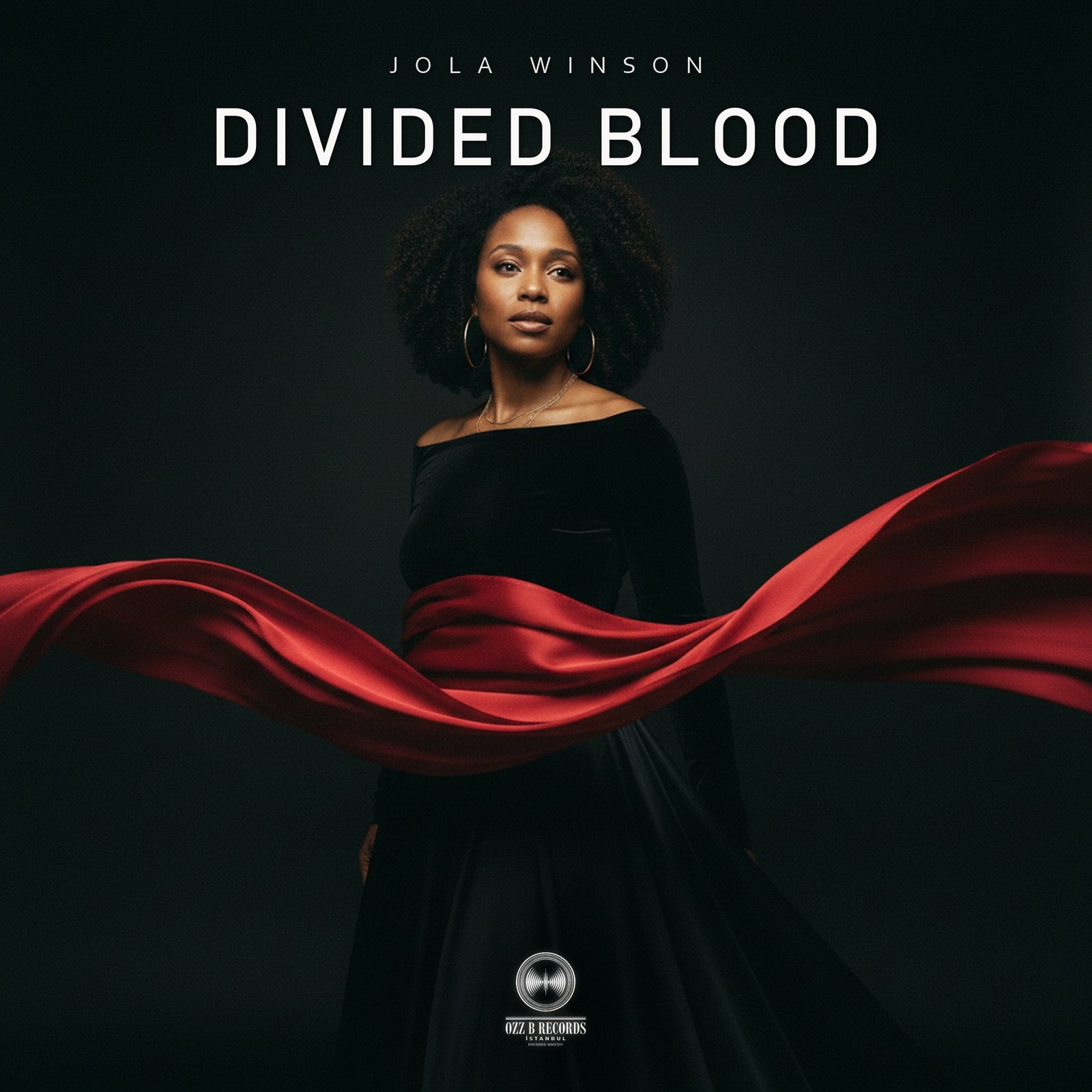 Divided Blood — Jola Winson